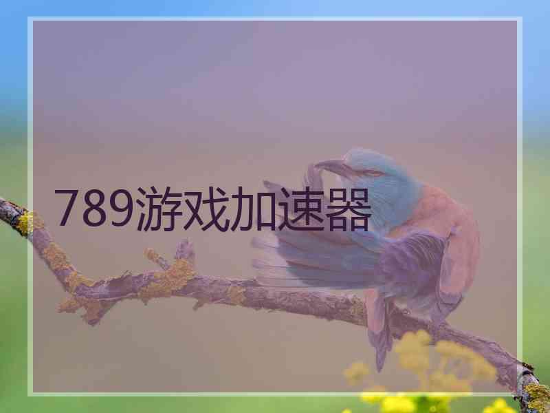 789游戏加速器