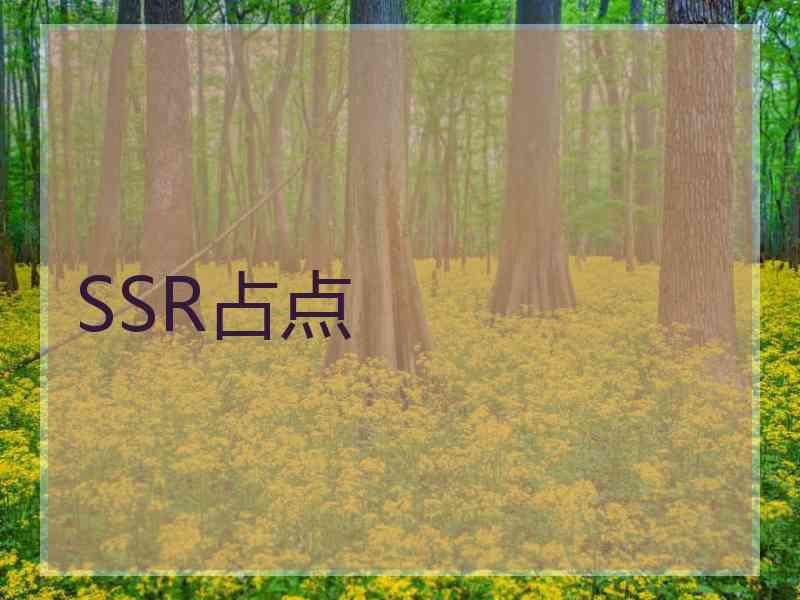 SSR占点