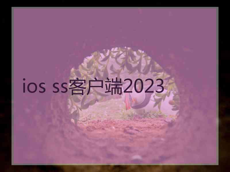 ios ss客户端2023