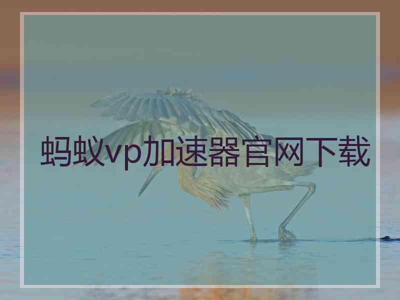 蚂蚁vp加速器官网下载