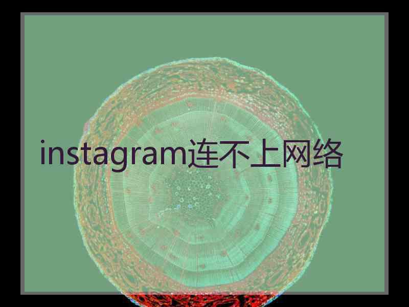 instagram连不上网络