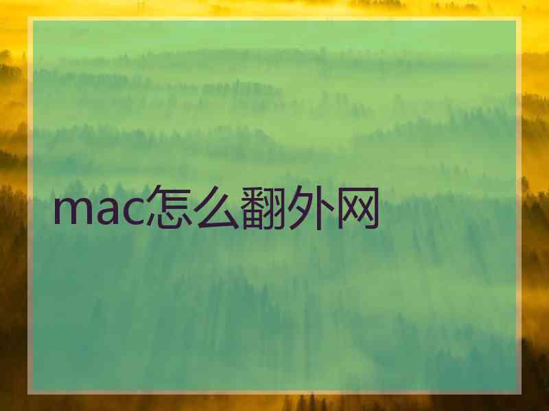 mac怎么翻外网