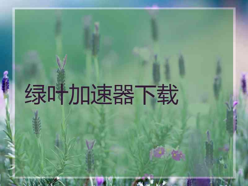 绿叶加速器下载