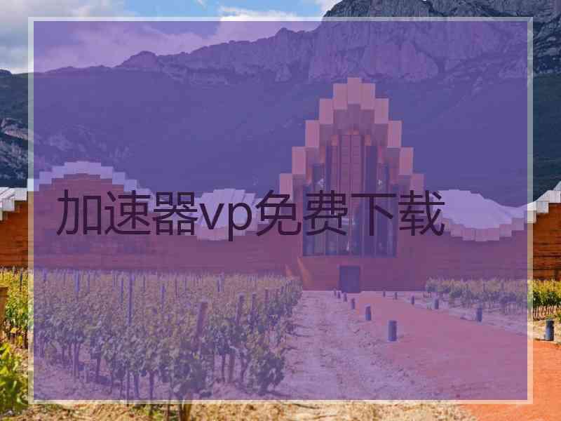 加速器vp免费下载