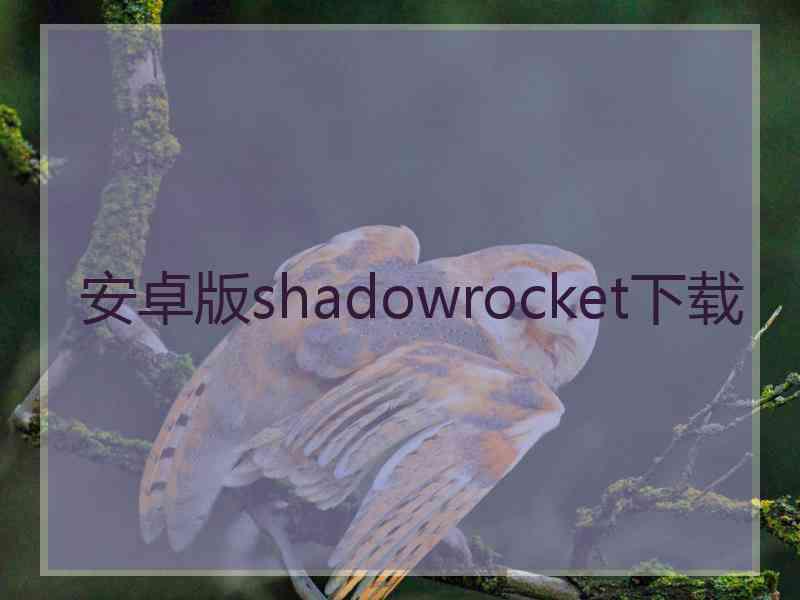 安卓版shadowrocket下载