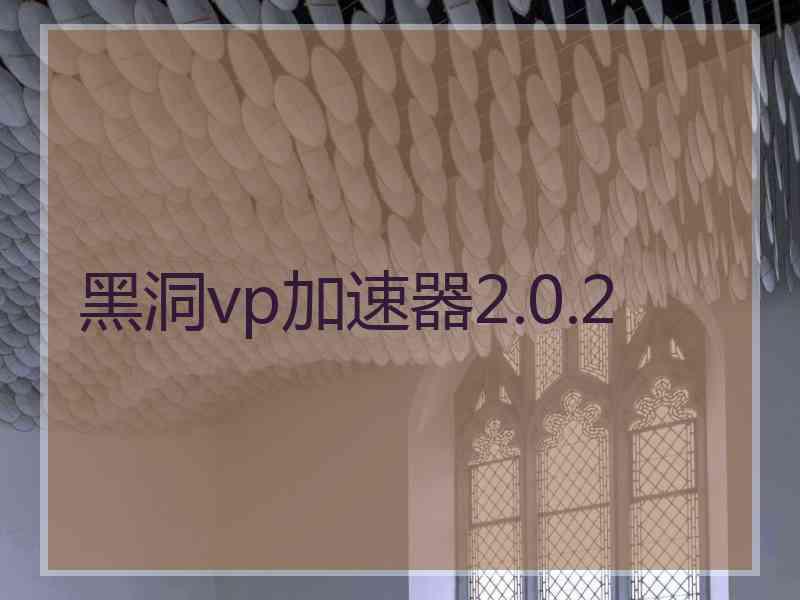 黑洞vp加速器2.0.2