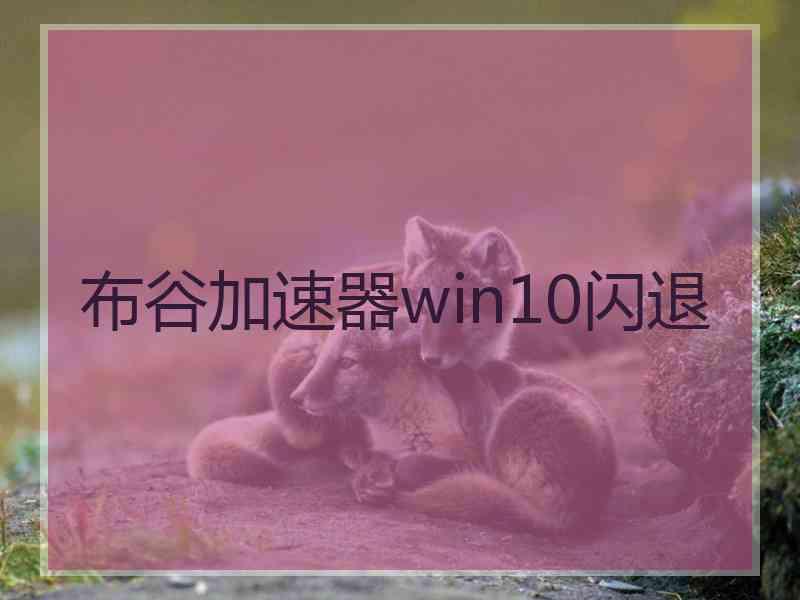 布谷加速器win10闪退