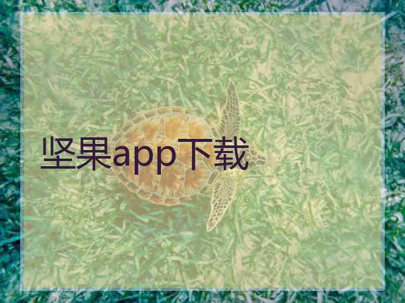 坚果app下载