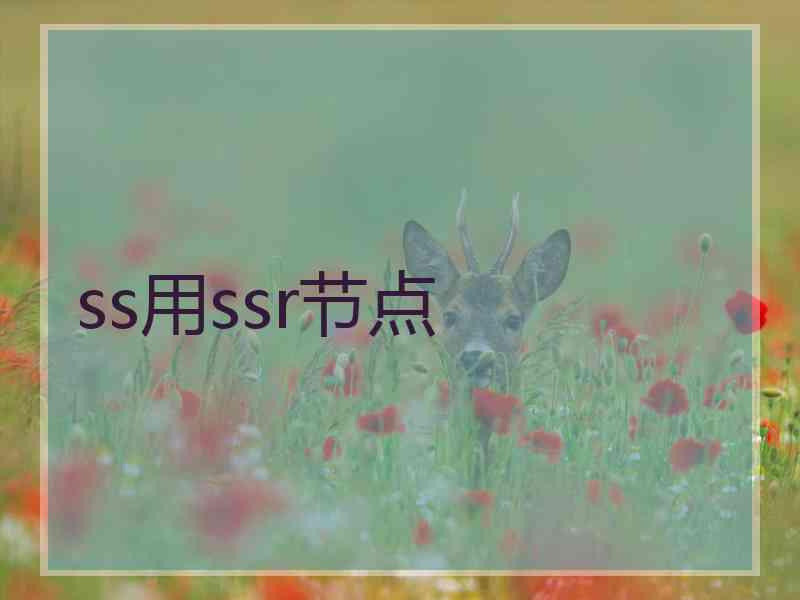 ss用ssr节点