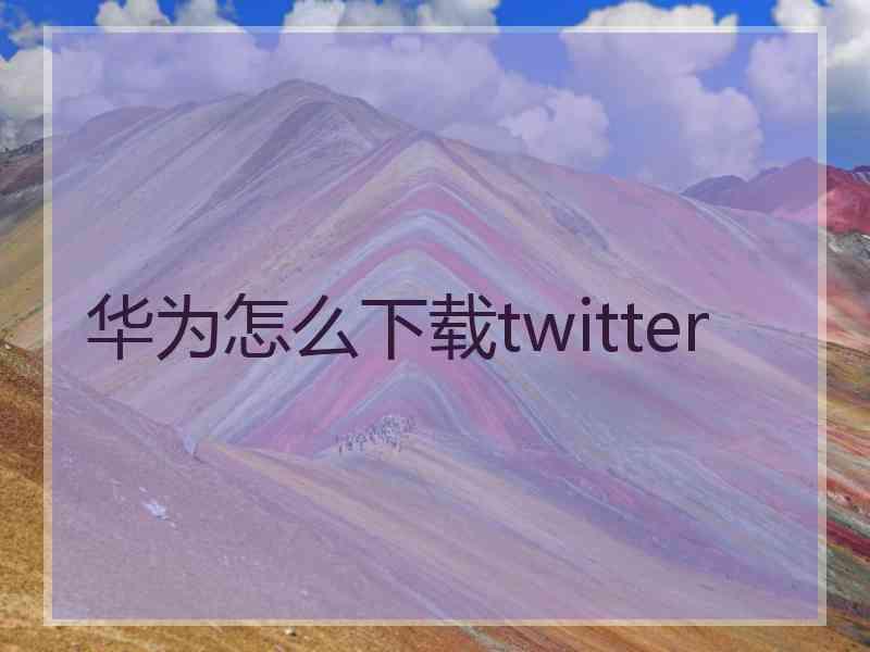 华为怎么下载twitter