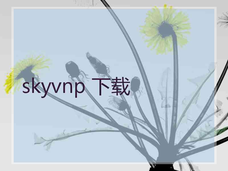 skyvnp 下载