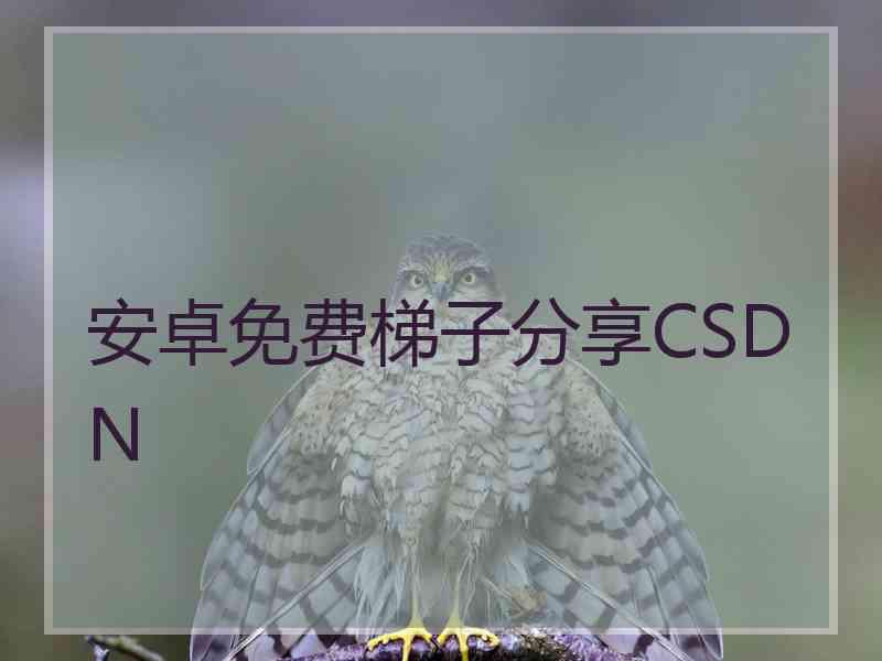 安卓免费梯子分享CSDN