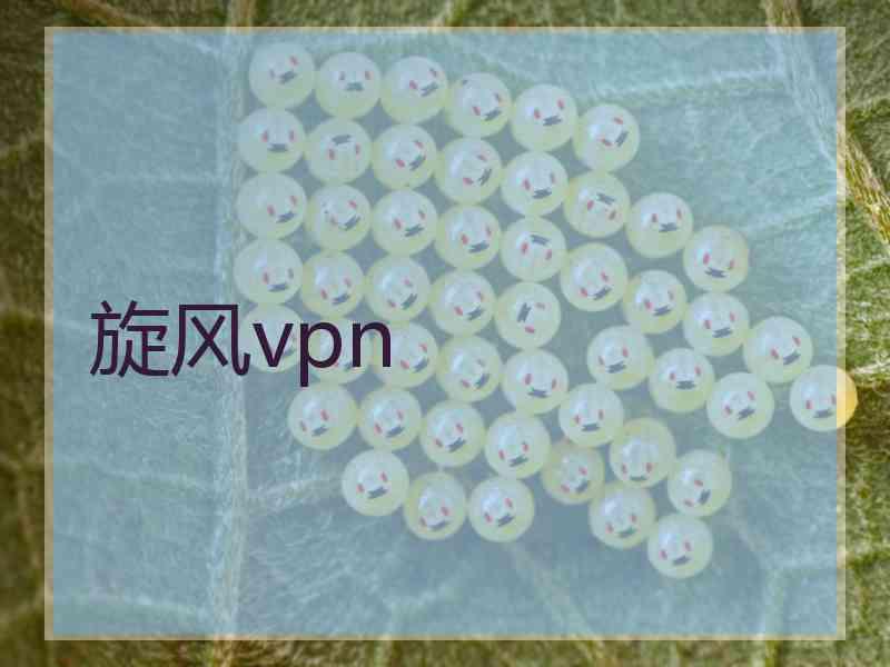 旋风vpn