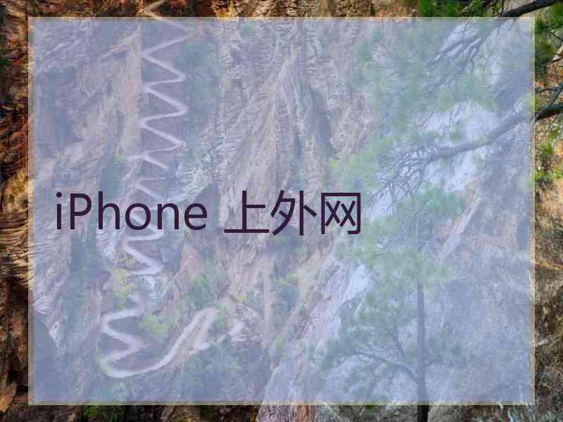 iPhone 上外网