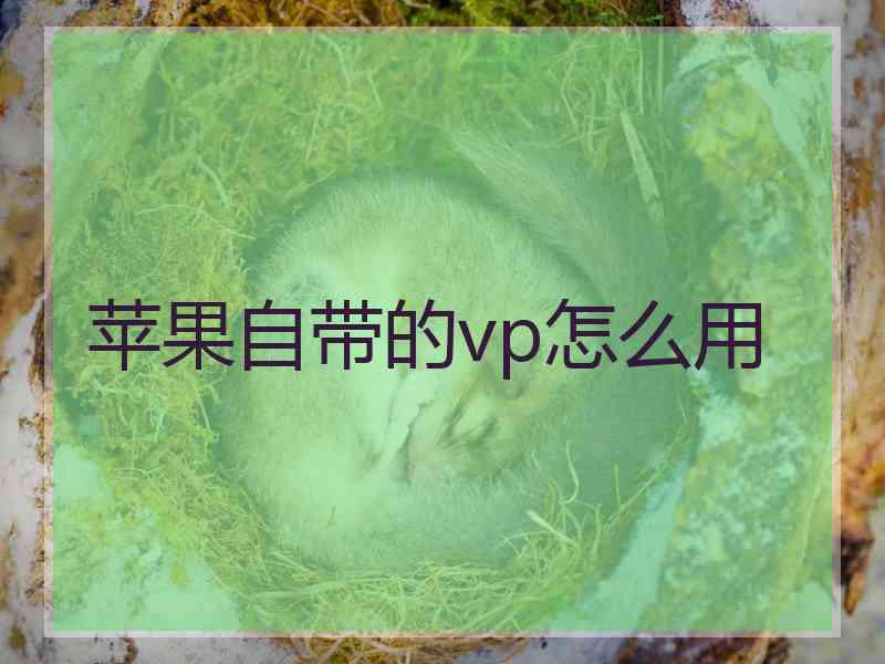 苹果自带的vp怎么用