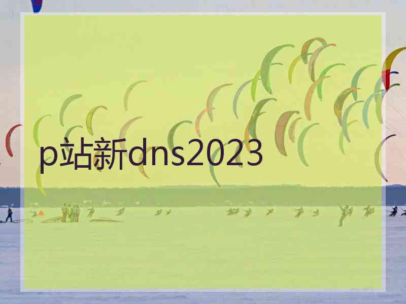 p站新dns2023