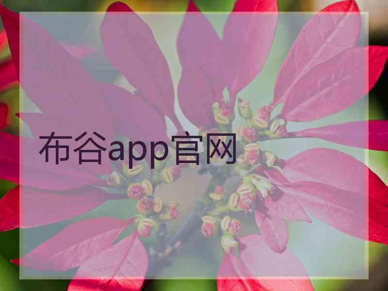 布谷app官网