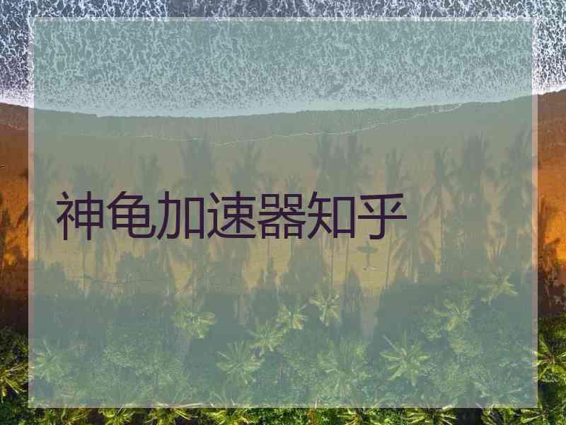 神龟加速器知乎