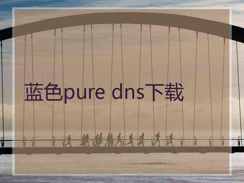 蓝色pure dns下载