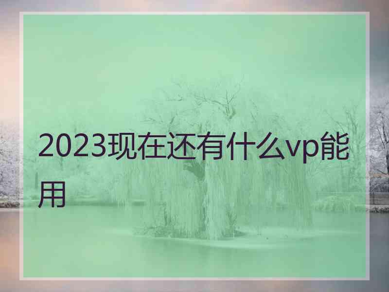 2023现在还有什么vp能用