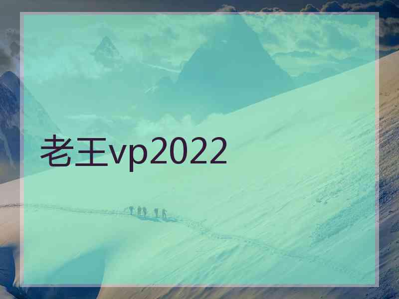 老王vp2022