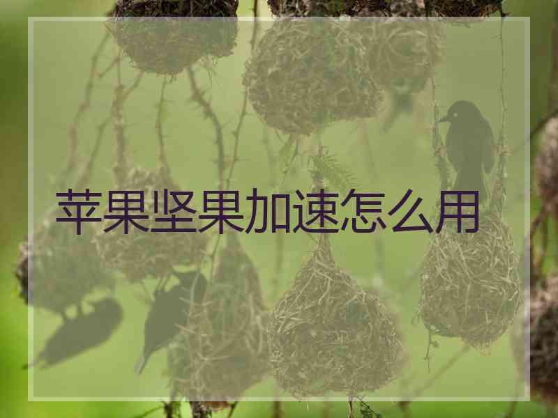 苹果坚果加速怎么用